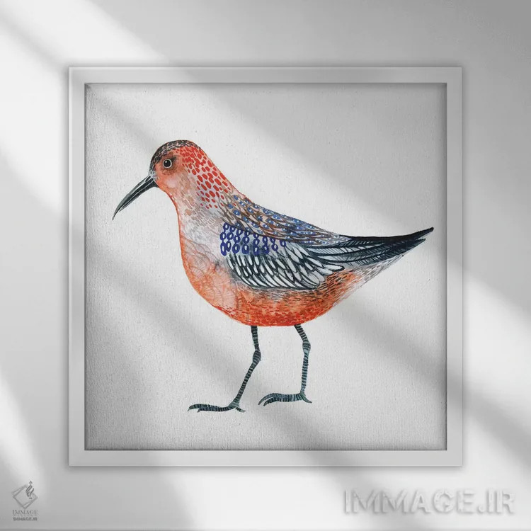 تابلو دکوراتیو پرنده قرمز اثر لسیا بینکین - نمای قابدار سفید