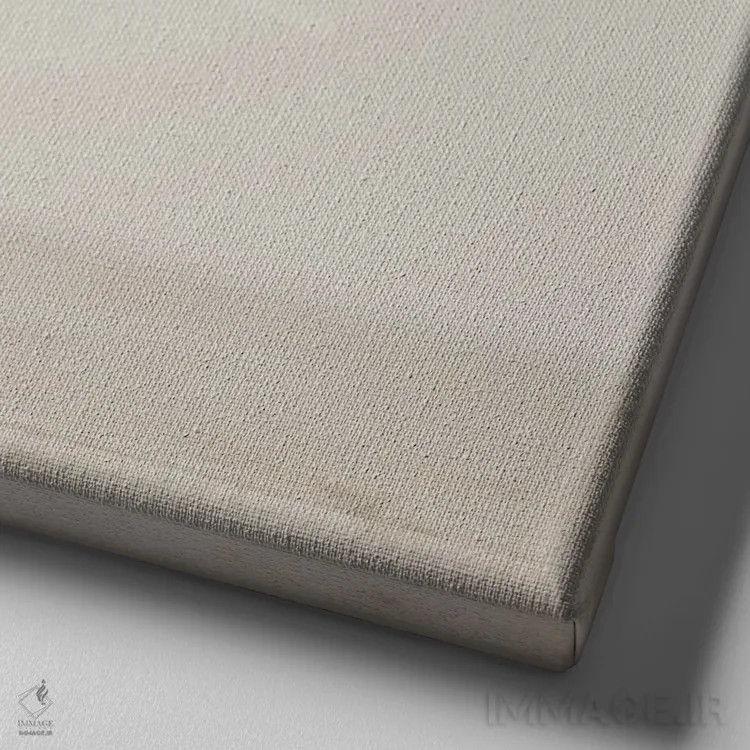 تابلو دکوراتیو ماکارون ها اثر لورا ایوانز - نمای نزدیک بافت بوم