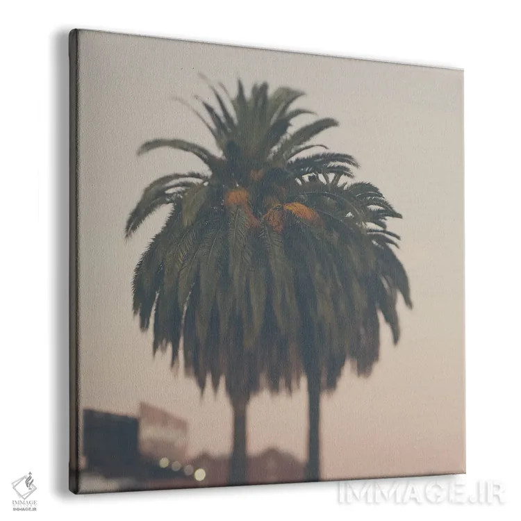 تابلو دکوراتیو درخت نخل هنگام غروب اثر لورا ایوانز - نمای پرسپکتیو محصول