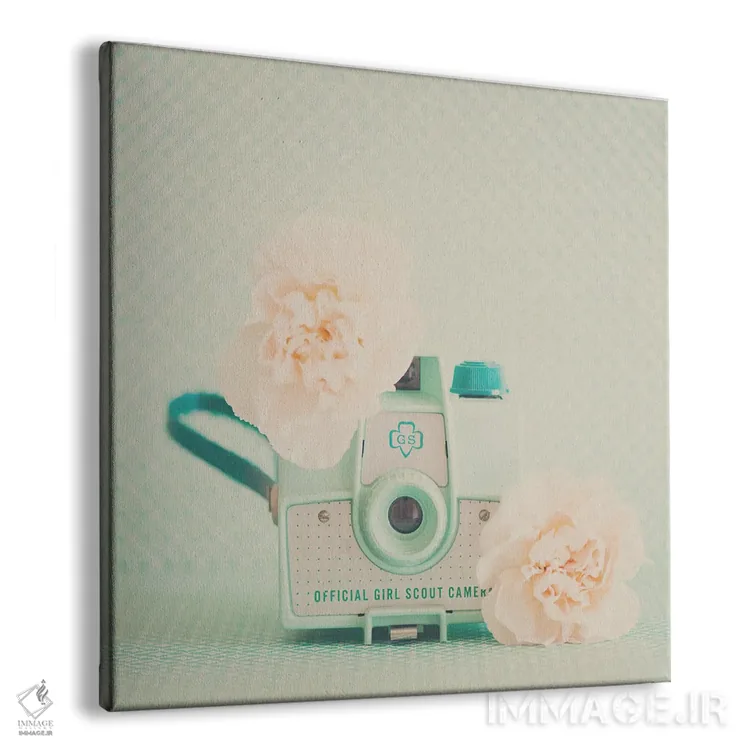 تابلو دکوراتیو گل های هلو و دوربین سبز نعنایی اثر لورا ایوانز - نمای پرسپکتیو محصول