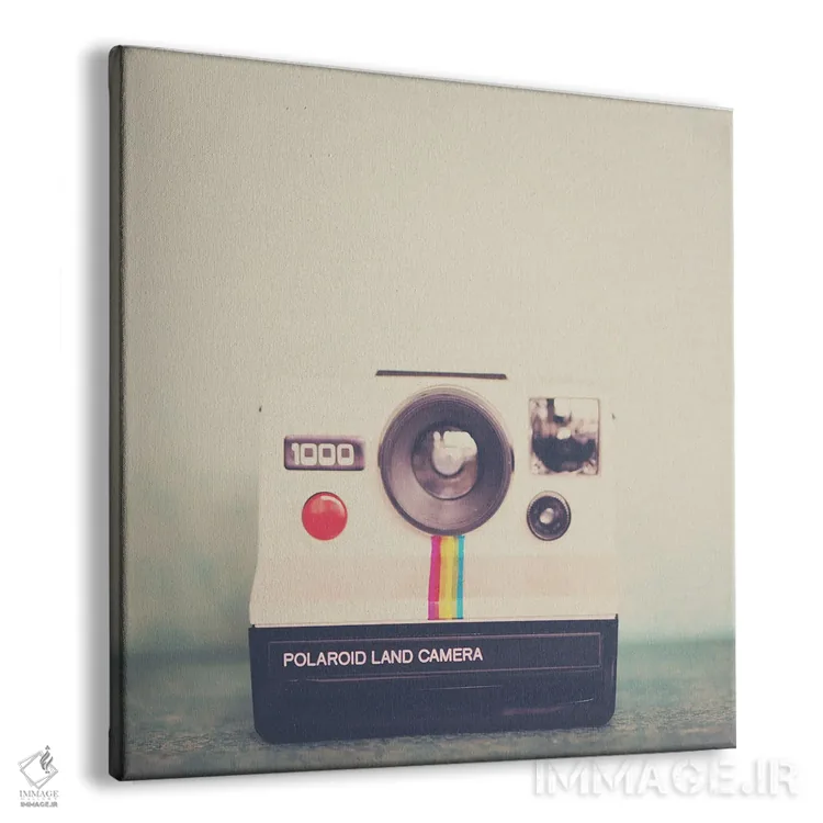 تابلو دکوراتیو پرتره ای از یک دوربین اثر لورا ایوانز - نمای پرسپکتیو محصول