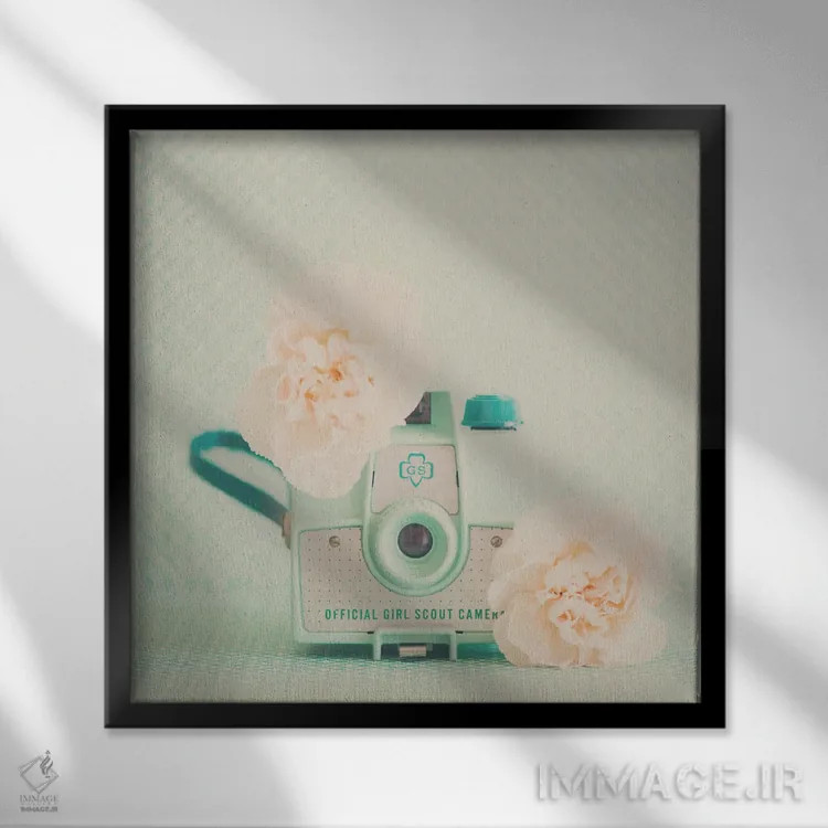 تابلو دکوراتیو گل های هلو و دوربین سبز نعنایی اثر لورا ایوانز - نمای قابدار مشکی