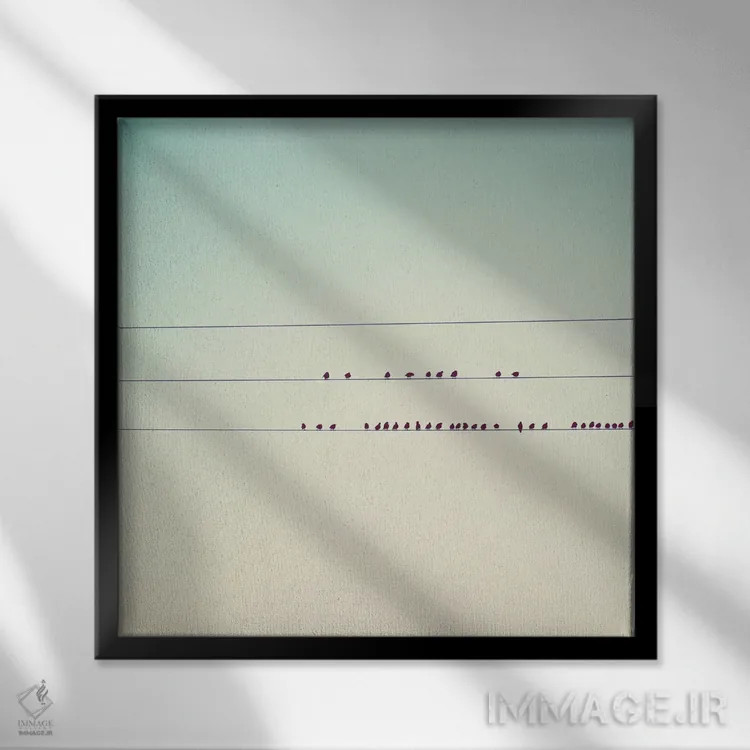 تابلو مدرن سی و هفت پرنده کوچک نشسته در یک صف اثر لورا ایوانز - نمای قابدار مشکی