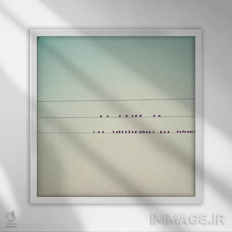 تابلو مدرن سی و هفت پرنده کوچک نشسته در یک صف اثر لورا ایوانز - نمای قابدار سفید