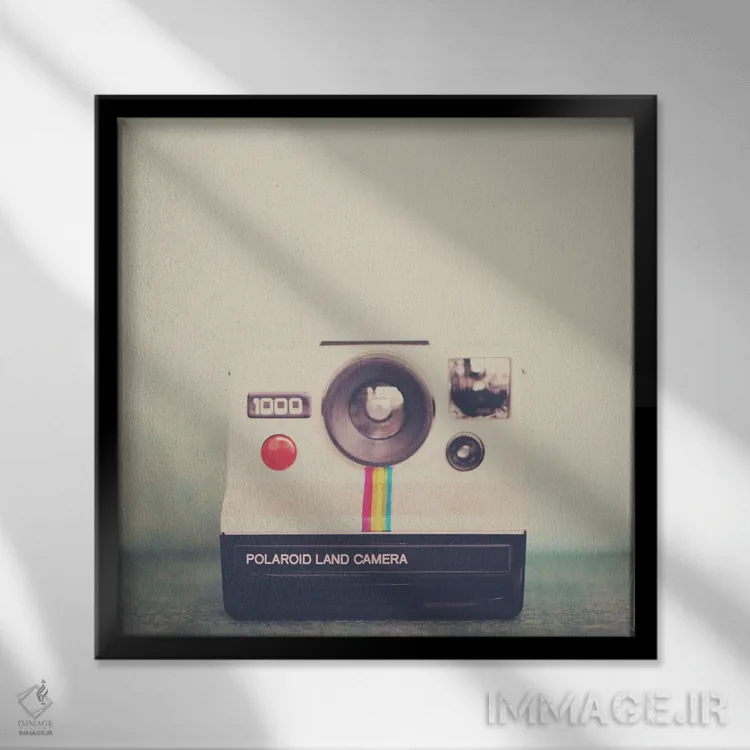 تابلو دکوراتیو پرتره ای از یک دوربین اثر لورا ایوانز - نمای قابدار مشکی