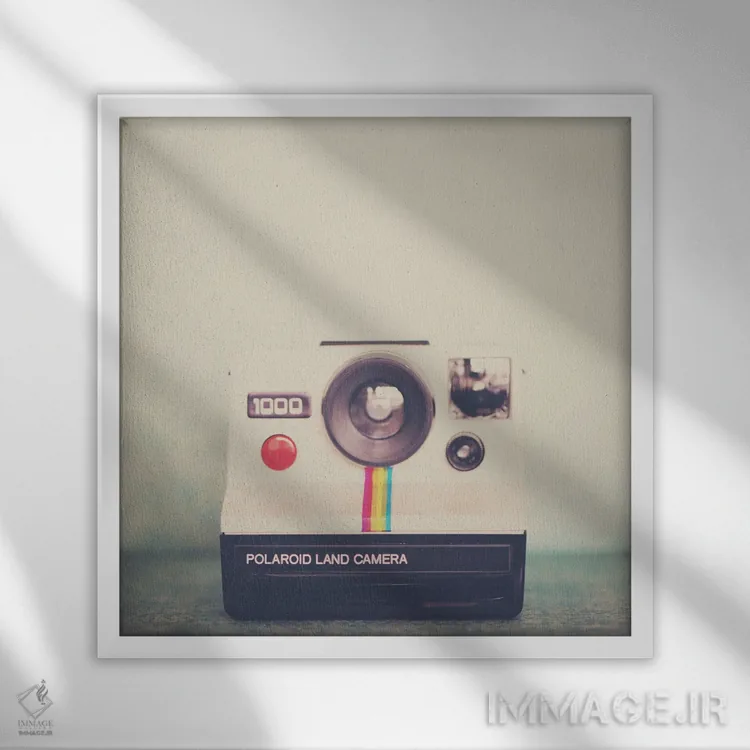 تابلو دکوراتیو پرتره ای از یک دوربین اثر لورا ایوانز - نمای قابدار سفید