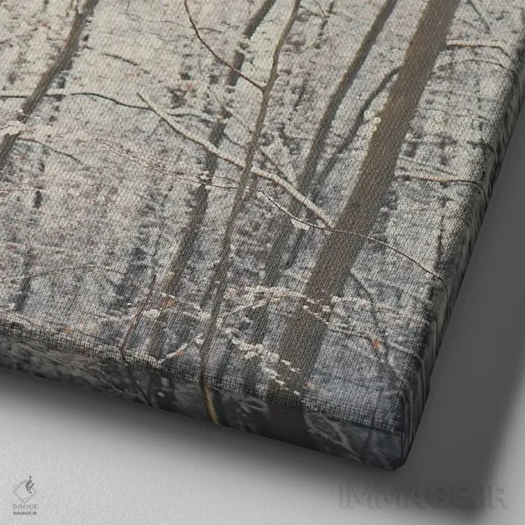 تابلو دکوراتیو پس از برف اثر لورا ایوانز - نمای نزدیک بافت بوم