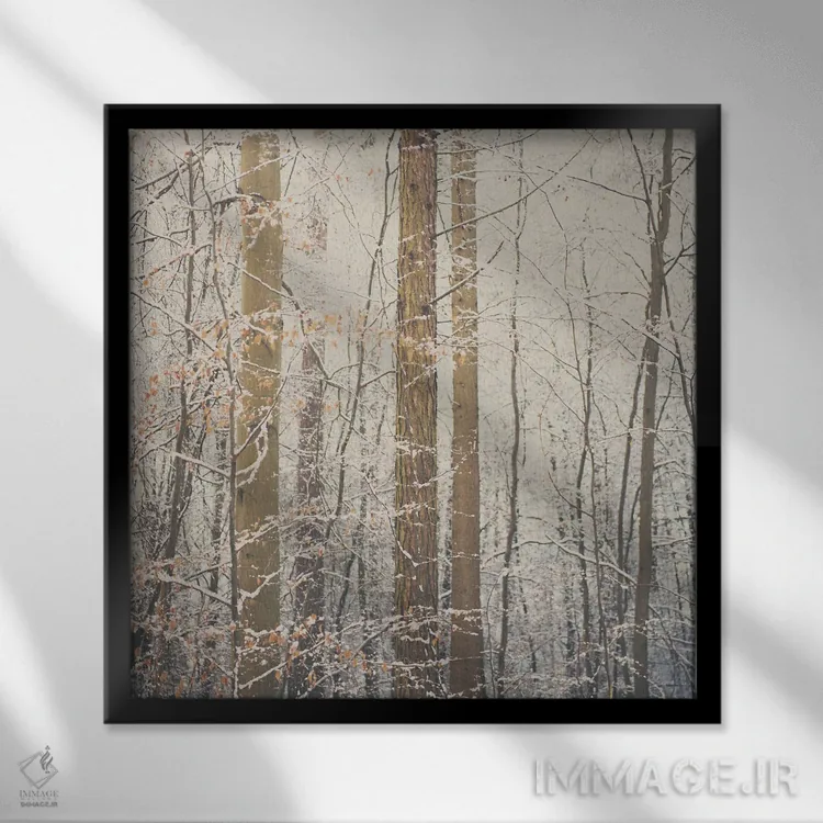 تابلو دکوراتیو پس از برف اثر لورا ایوانز - نمای قابدار مشکی