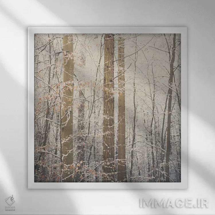 تابلو دکوراتیو پس از برف اثر لورا ایوانز - نمای قابدار سفید