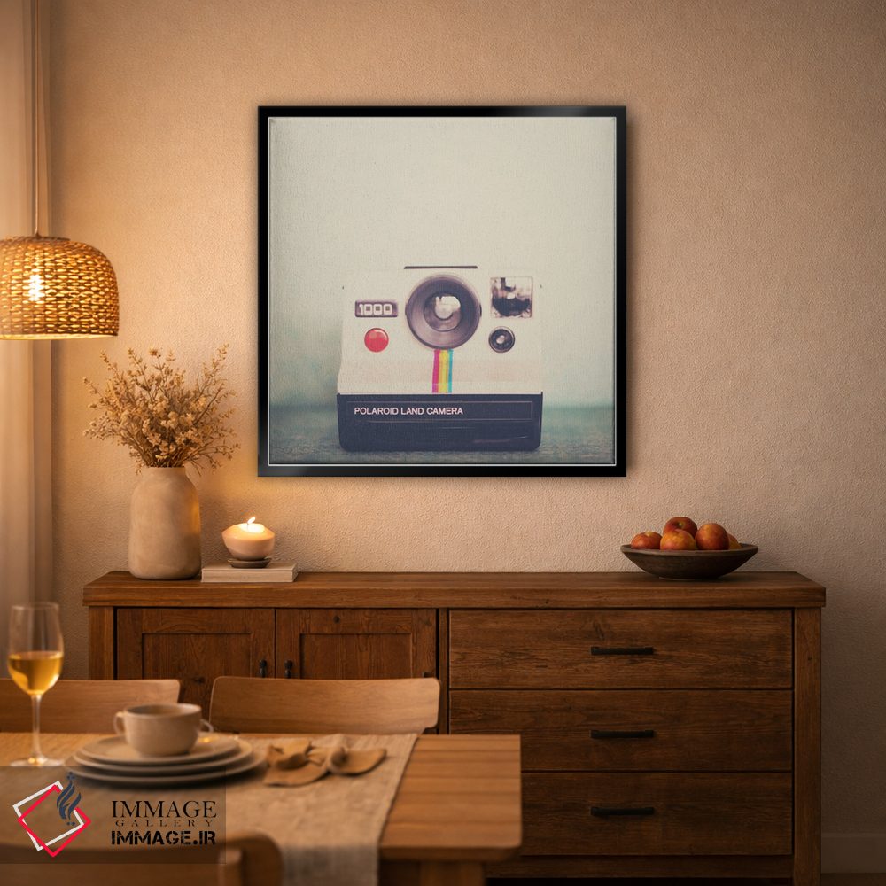 تابلو دکوراتیو پرتره ای از یک دوربین اثر لورا ایوانز - D2B