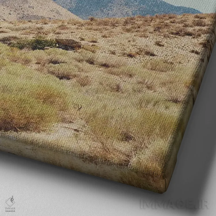 تابلو دکوراتیو گذرگاه واکر اثر لورا ایوانز - نمای نزدیک بافت بوم