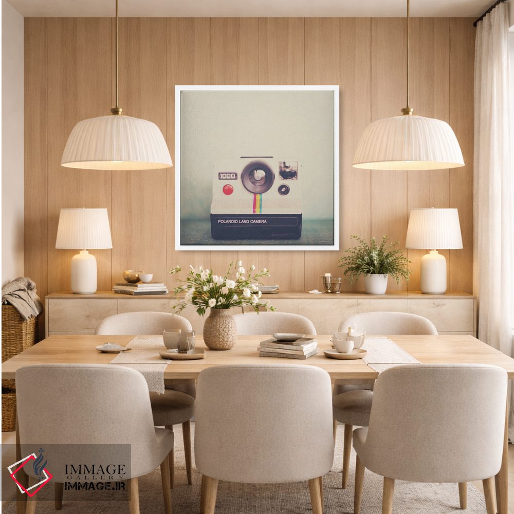 تابلو دکوراتیو پرتره ای از یک دوربین اثر لورا ایوانز - D5W