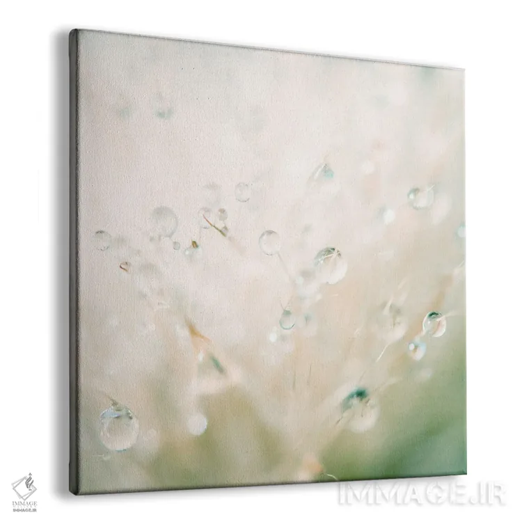 تابلو مدرن انعکاس زمستان در شبنم صبحگاهی اثر لورا ایوانز - نمای پرسپکتیو محصول