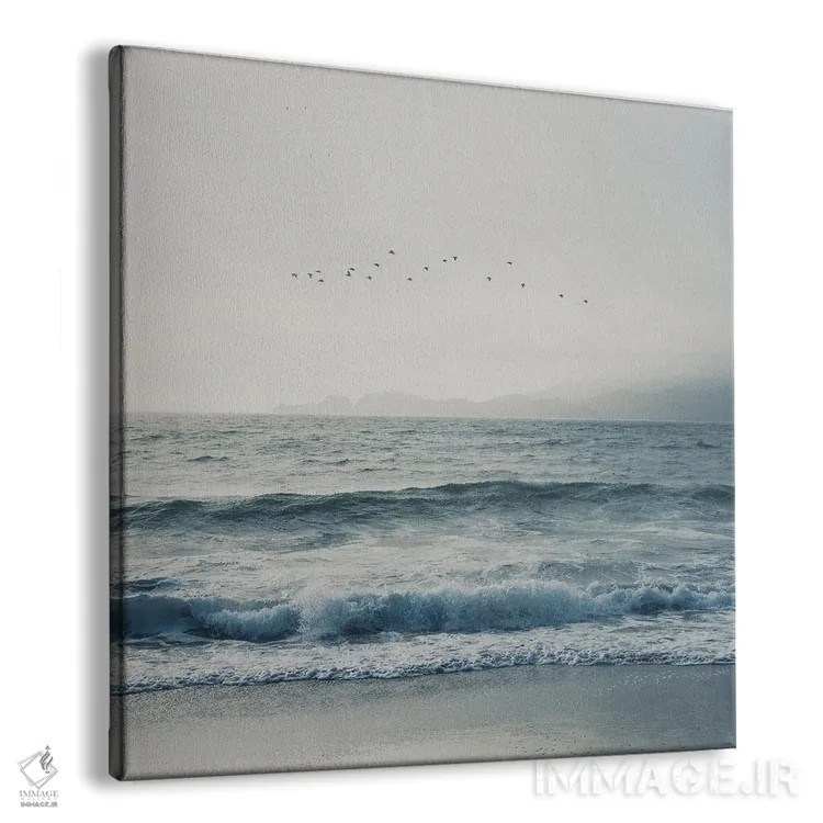 تابلو دکوراتیو پرندگان در حال پرواز بر فراز اقیانوس آرام اثر لورا ایوانز - نمای پرسپکتیو محصول