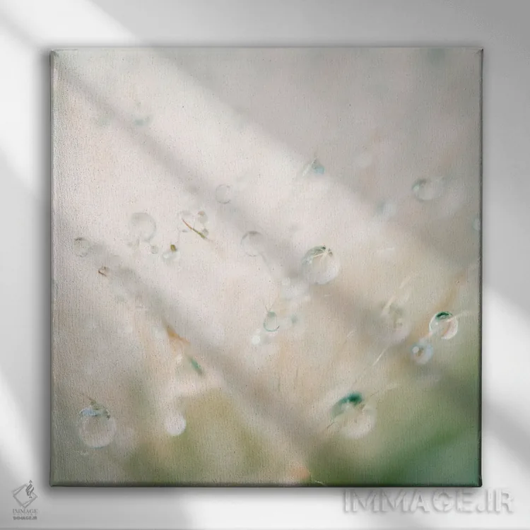 تابلو مدرن انعکاس زمستان در شبنم صبحگاهی اثر لورا ایوانز - نمای روبهرو روی دیوار