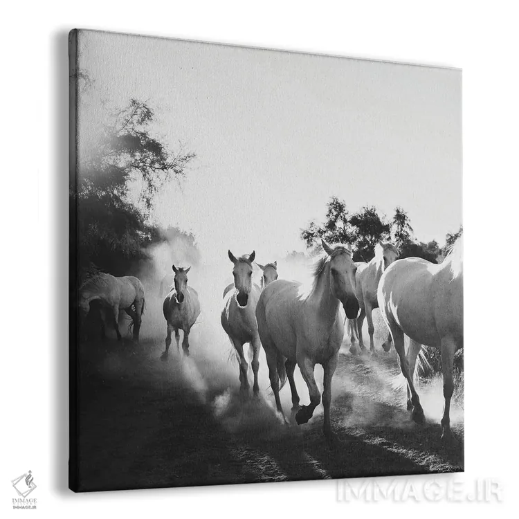تابلو مدرن اسب های کامارگ VX اثر لورا ایوانز - نمای پرسپکتیو محصول