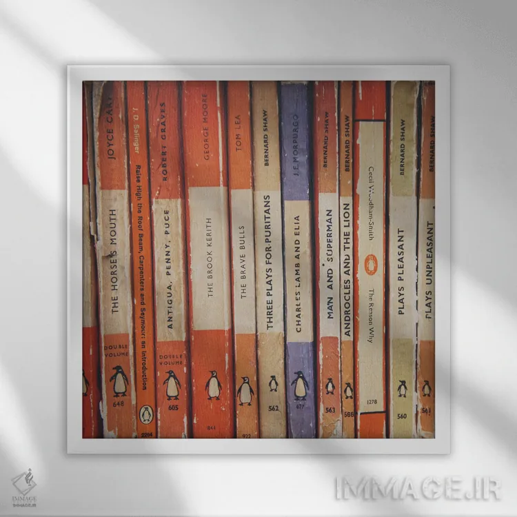 تابلو دکوراتیو همه کتاب ها اثر لورا ایوانز - نمای قابدار سفید