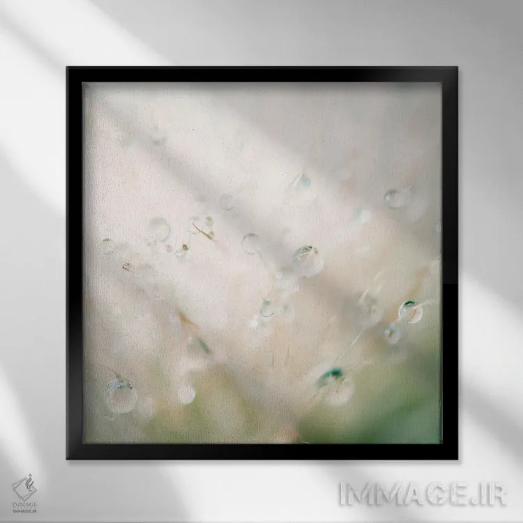 تابلو مدرن انعکاس زمستان در شبنم صبحگاهی اثر لورا ایوانز - نمای قابدار مشکی