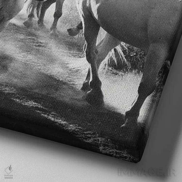 تابلو مدرن اسب های کامارگ VX اثر لورا ایوانز - نمای نزدیک بافت بوم