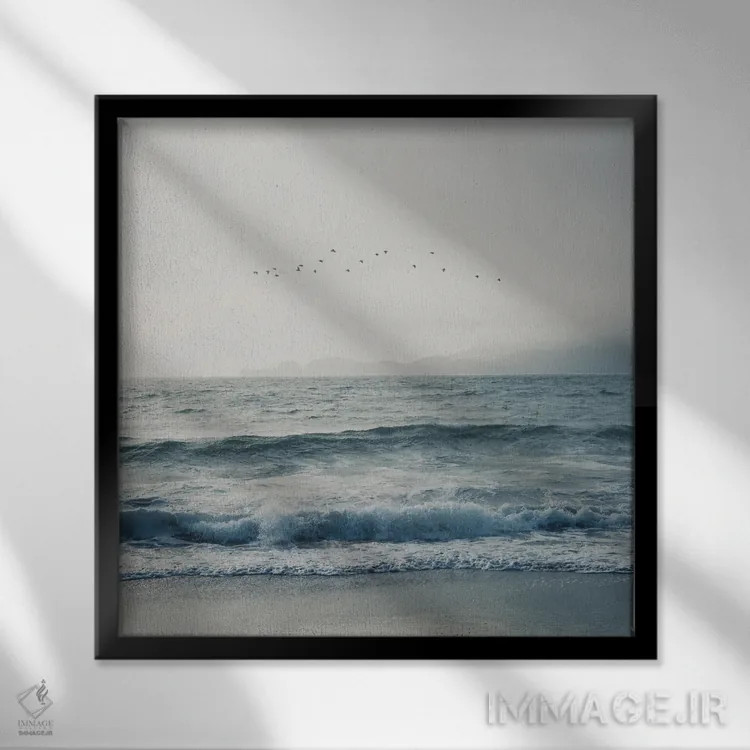 تابلو دکوراتیو پرندگان در حال پرواز بر فراز اقیانوس آرام اثر لورا ایوانز - نمای قابدار مشکی