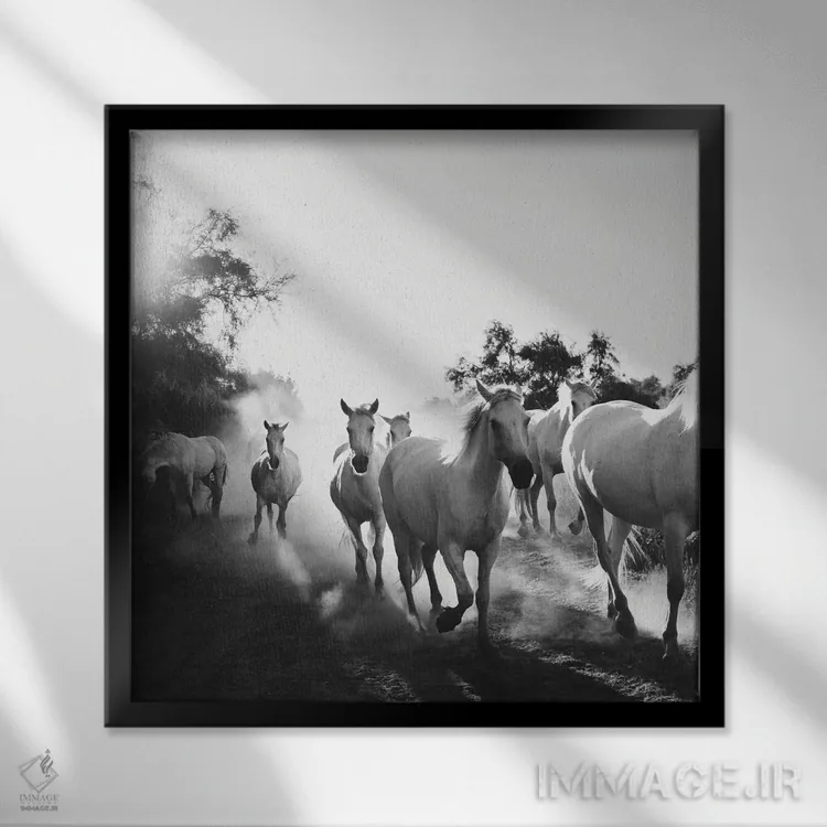 تابلو مدرن اسب های کامارگ VX اثر لورا ایوانز - نمای قابدار مشکی