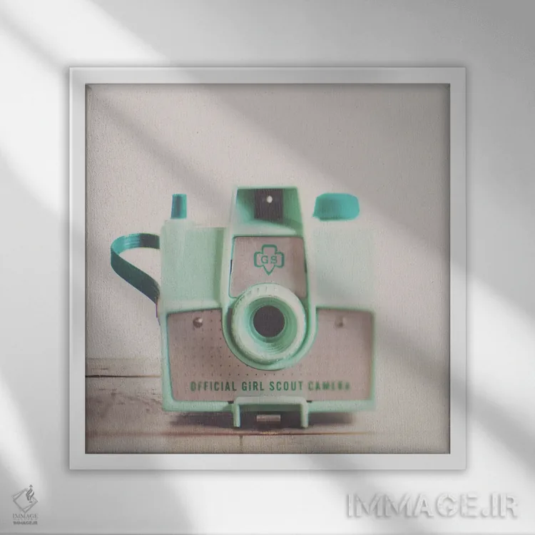 تابلو دکوراتیو همیشه آماده باش اثر لورا ایوانز - نمای قابدار سفید