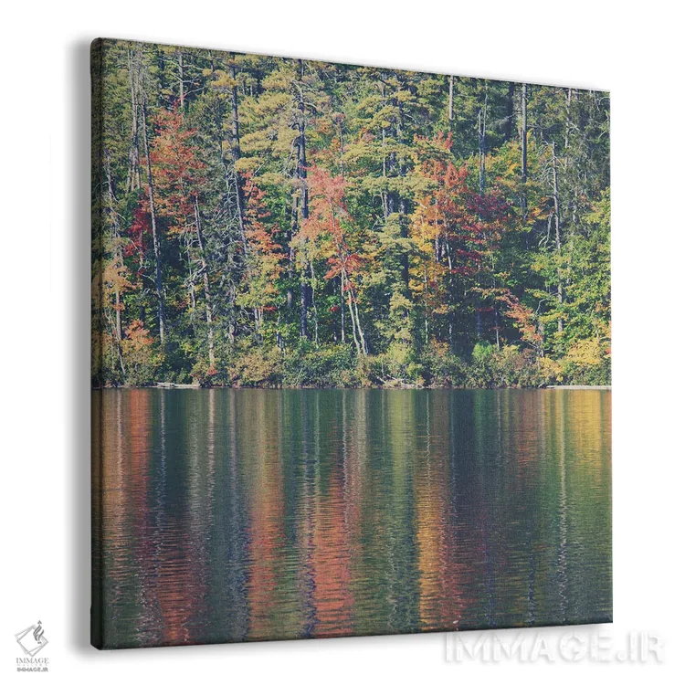 تابلو دکوراتیو برگ های پاییزی منعکس در دریاچه چوکوروا نیوهمپشایر اثر لورا ایوانز - نمای پرسپکتیو محصول