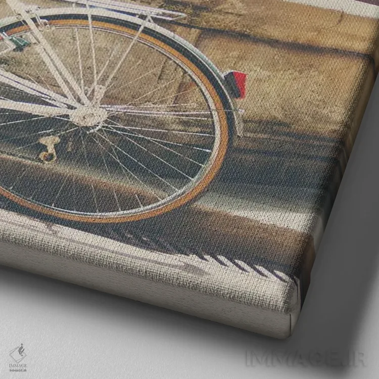 تابلو دکوراتیو دوچرخه سواری در سراسر فرانسه اثر لورا ایوانز - نمای نزدیک بافت بوم