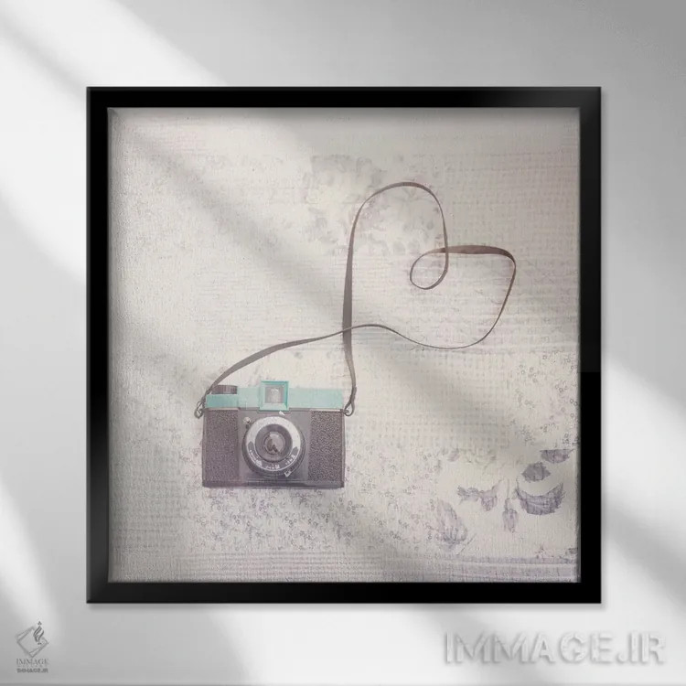 تابلو دکوراتیو دیانا عزیز اثر لورا ایوانز - نمای قابدار مشکی