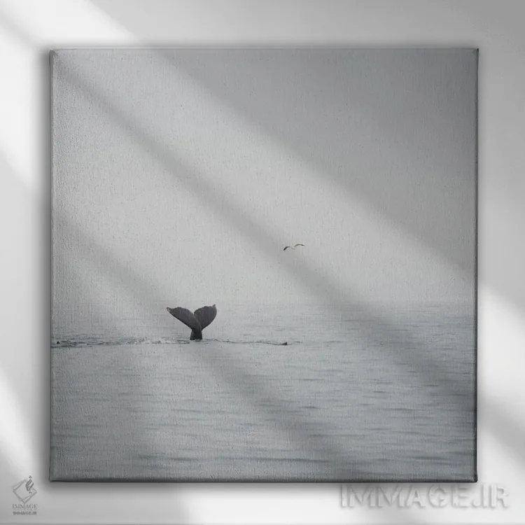 تابلو دکوراتیو نهنگ گوژپشت III اثر لورا ایوانز - نمای روبهرو روی دیوار