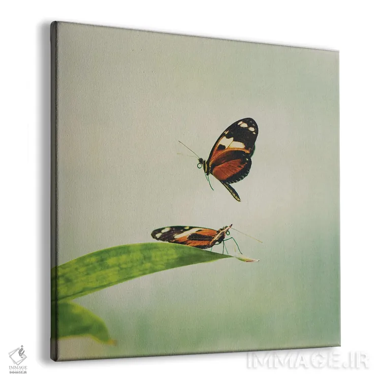 تابلو دکوراتیو بال های لرزان اثر لورا ایوانز - نمای پرسپکتیو محصول