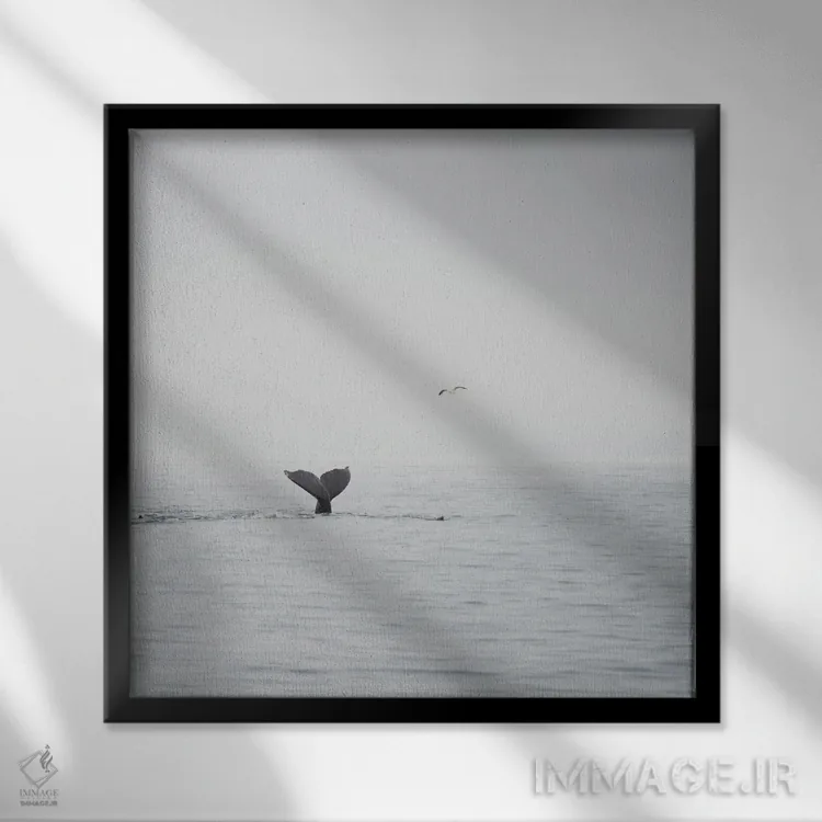 تابلو دکوراتیو نهنگ گوژپشت III اثر لورا ایوانز - نمای قابدار مشکی