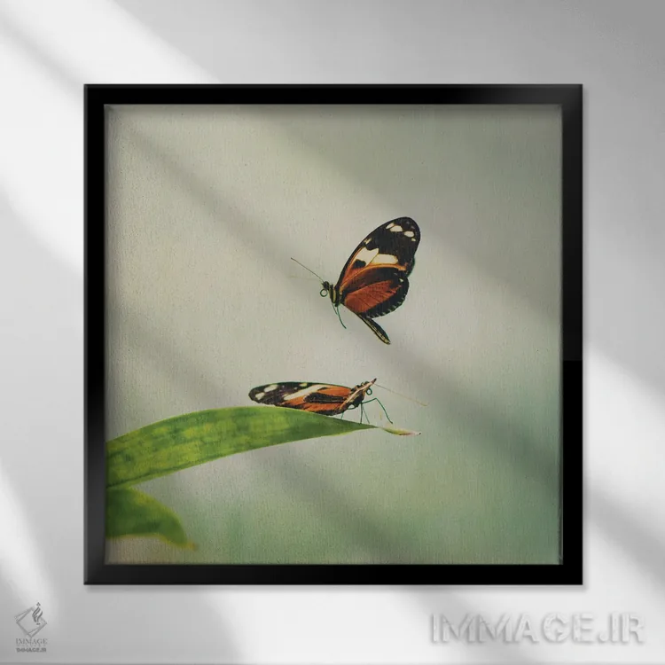 تابلو دکوراتیو بال های لرزان اثر لورا ایوانز - نمای قابدار مشکی