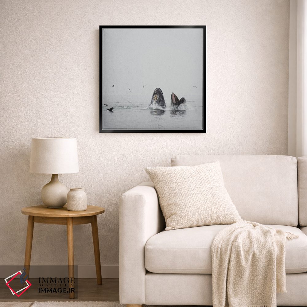 تابلو دکوراتیو نهنگ گوژپشت II اثر لورا ایوانز - D6B