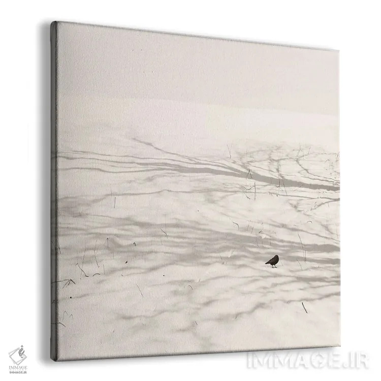 تابلو مینیمال پرنده ی رقصان اثر لنا وایسبک - نمای پرسپکتیو محصول