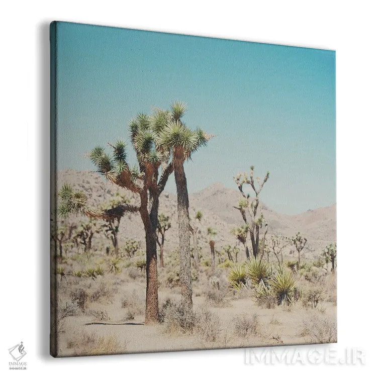 تابلو دکوراتیو پارک ملی درخت یوشع I اثر لورا ایوانز - نمای پرسپکتیو محصول