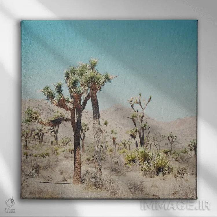 تابلو دکوراتیو پارک ملی درخت یوشع I اثر لورا ایوانز - نمای روبهرو روی دیوار