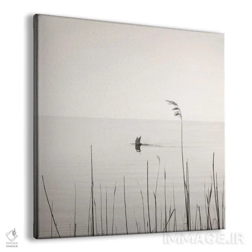 تابلو مینیمال قوی غواص اثر لنا وایسبک - نمای پرسپکتیو محصول