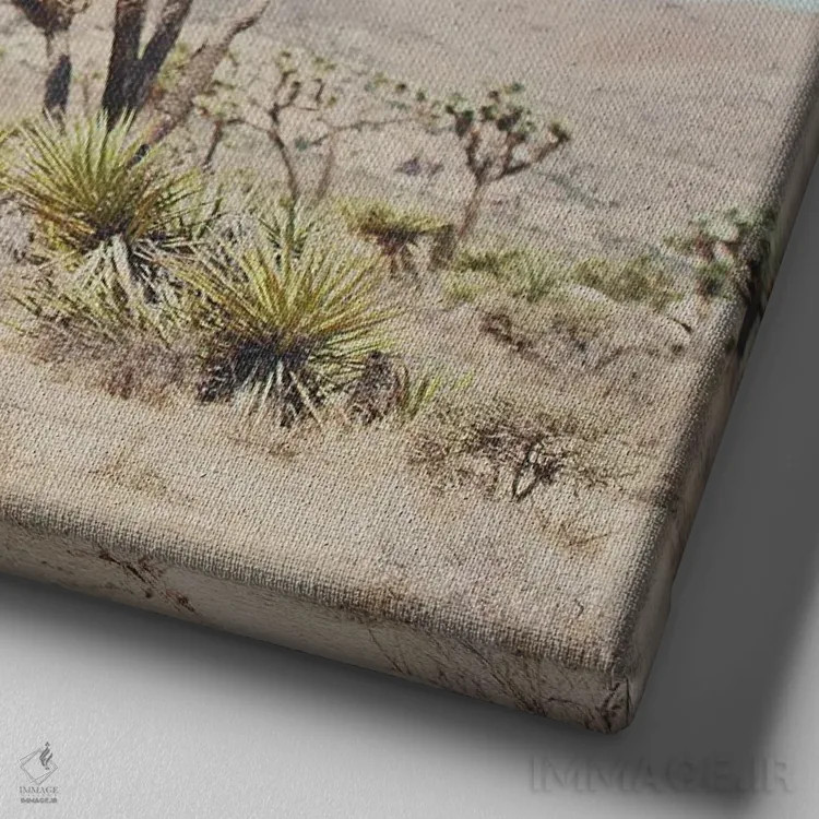 تابلو دکوراتیو پارک ملی درخت یوشع I اثر لورا ایوانز - نمای نزدیک بافت بوم