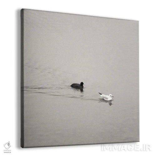 تابلو مینیمال یین و یانگ اثر لنا وایسبک - نمای پرسپکتیو محصول