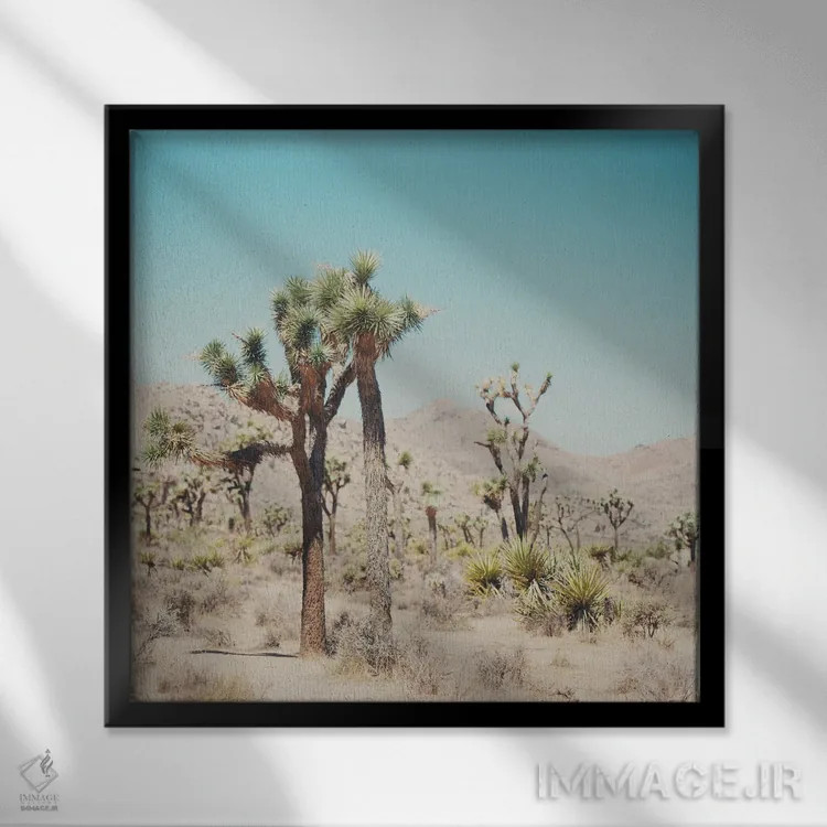 تابلو دکوراتیو پارک ملی درخت یوشع I اثر لورا ایوانز - نمای قابدار مشکی