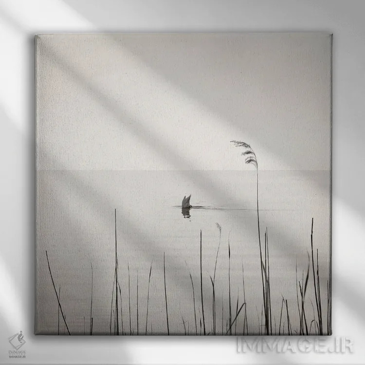 تابلو مینیمال قوی غواص اثر لنا وایسبک - نمای روبهرو روی دیوار