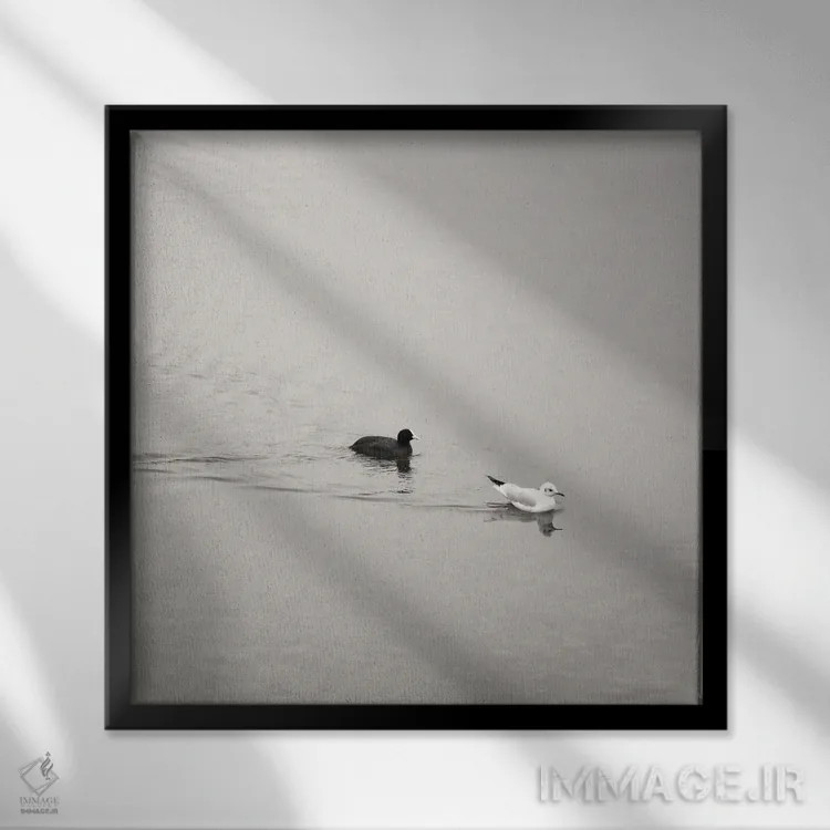 تابلو مینیمال یین و یانگ اثر لنا وایسبک - نمای قابدار مشکی