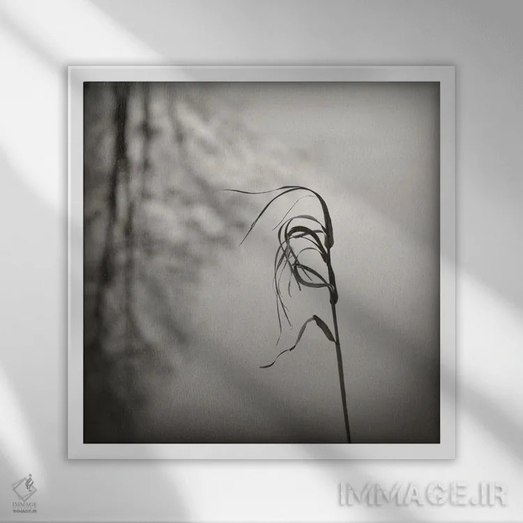 تابلو مینیمال در باد اثر لنا وایسبک - نمای قابدار سفید