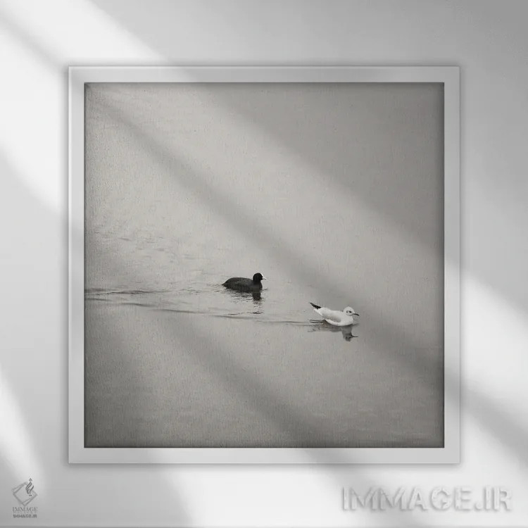 تابلو مینیمال یین و یانگ اثر لنا وایسبک - نمای قابدار سفید