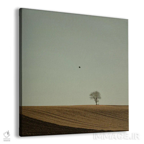 تابلو دکوراتیو سرودددد به سرزمین اثر لنا وایسبک - نمای پرسپکتیو محصول