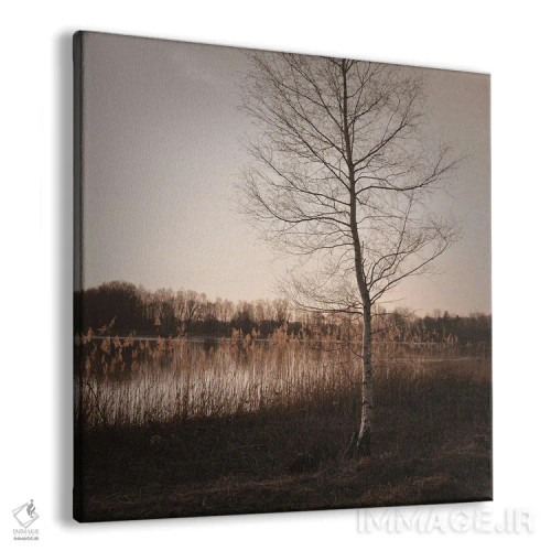 تابلو دکوراتیو فصل پاییز اثر لنا وایسبک - نمای پرسپکتیو محصول