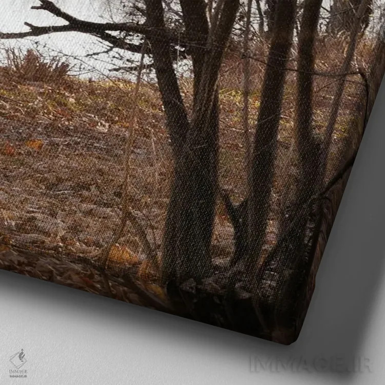 تابلو دکوراتیو مالیخولیا اثر لنا وایسبک - نمای نزدیک بافت بوم