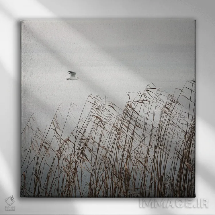 تابلو دکوراتیو پرنده روی دریاچه اثر لنا وایسبک - نمای روبهرو روی دیوار