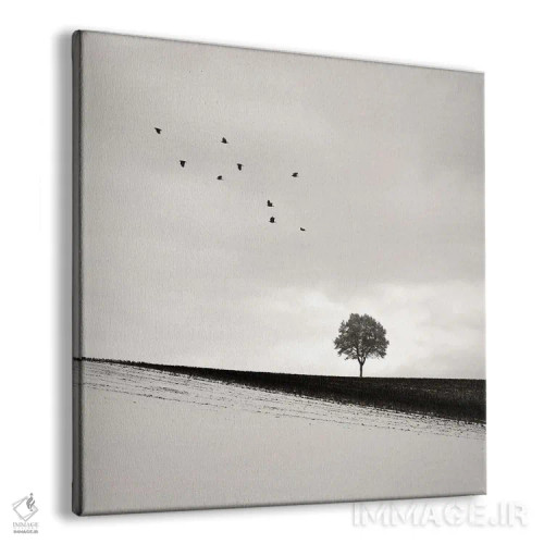 تابلو دکوراتیو دل تنها اثر لنا وایسبک - نمای پرسپکتیو محصول